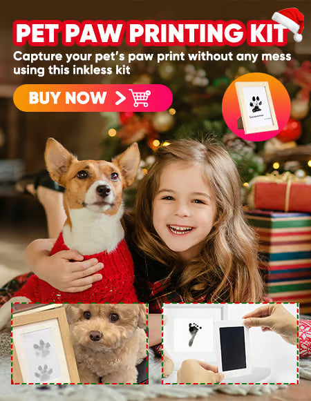 🎁🐶Sada na otisky tlapek zvířat s rámečkem na karty🐾🐾