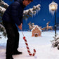🎁🎅 Sada na golf Perník