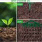 🌱 Sada nástrojů pro výsadbu zahradních semen – přesné setí, nastavitelná hloubka, odolné nástroje | Rychlejší a rovnoměrnější výsadba zeleniny a květin 🛠️✨🏡