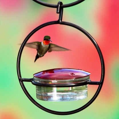 🐦 Kovový závěsný kolibřík – Skladem & platba na dobírku 🌺✨