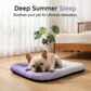 ❄️ Udržujte svého mazlíčka v chladu a pohodlí – Samochladicí gelová podložka pro domácí mazlíčky – platba na dobírku 🐾💤